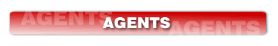 agents section at the hockey source