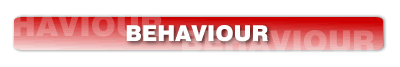 behaviour section at the hockey source