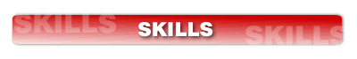 skills section at the hockey source